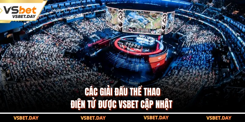 Các giải đấu thể thao điện tử được VSBET cập nhật 